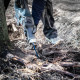 Пиляльне полотно Bosch S 1142 KHM Expert Tough Wood, 225 мм