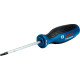 Викрутка Bosch T20 Professional 100 мм