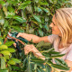 Акумуляторний секатор Bosch EasyPrune