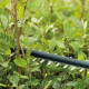 Акумуляторний кущоріз Bosch Universal Hedge Cut 18V-50, 1 акб 18V 2.5 Ah та з/п AL 1830 CV