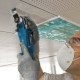 Багатофункціональний інструмент Bosch GOP 30-28 Professional з комплектом насадок, в L-BOXX 136