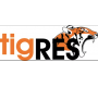 Tigres
